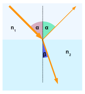 image-20220112111924064