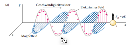 image-20220117134206090