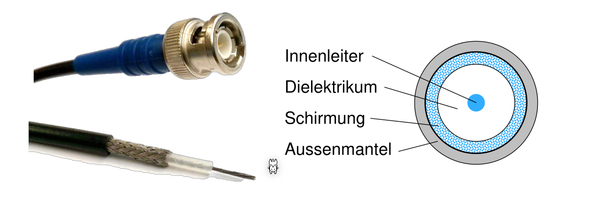 image-20220228151838986