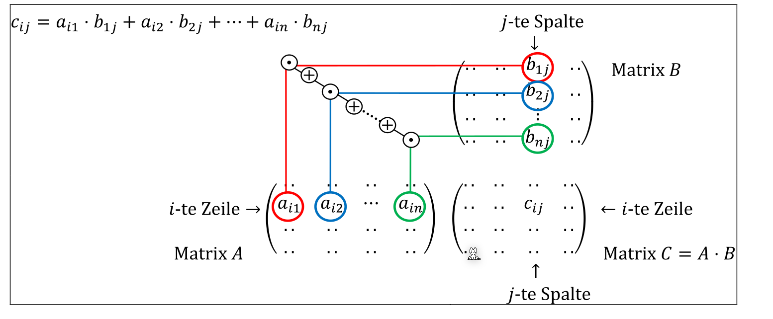 image-20220224083213488