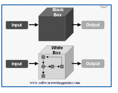 image-20220407105410138