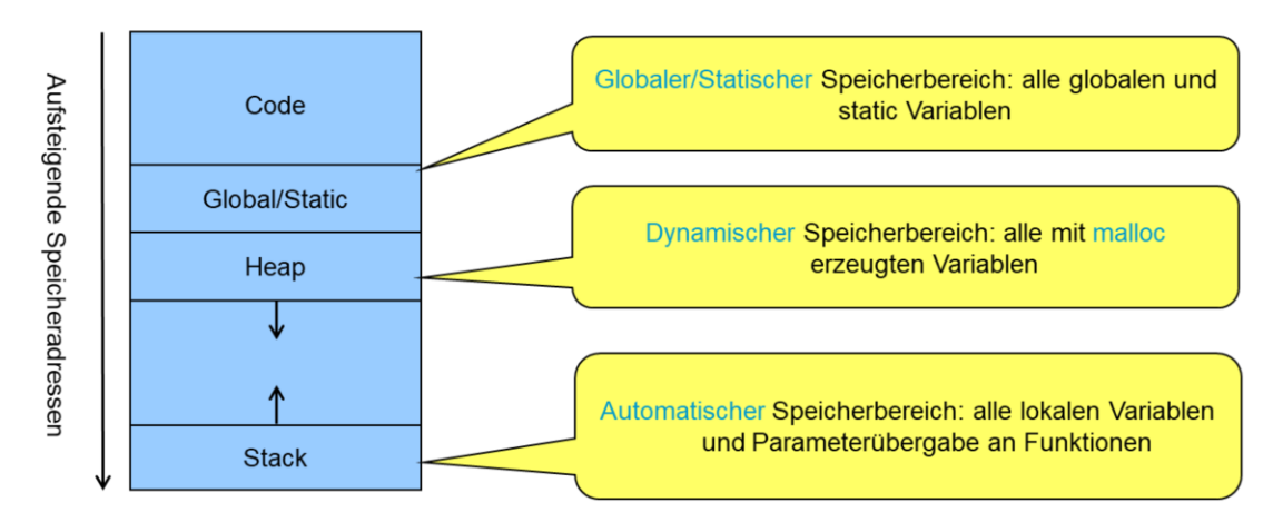 image-20220323081212308