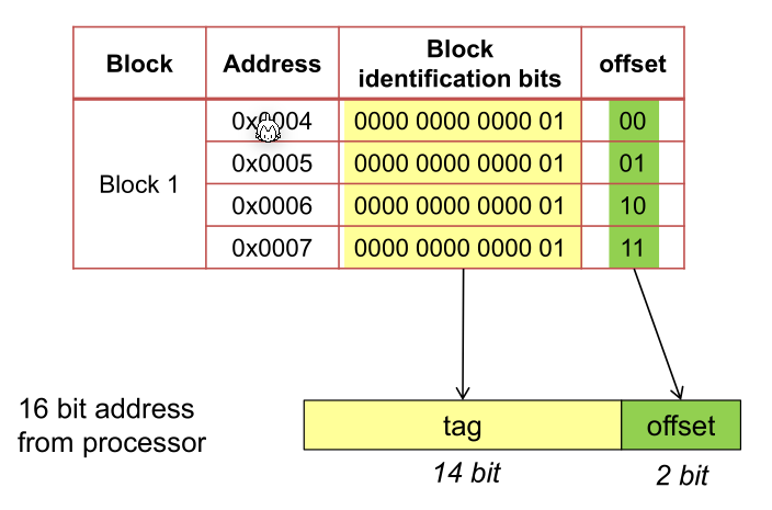 image-20230503101742035