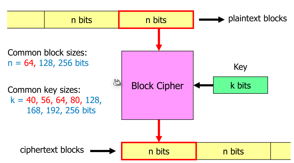 image-20230306102820225