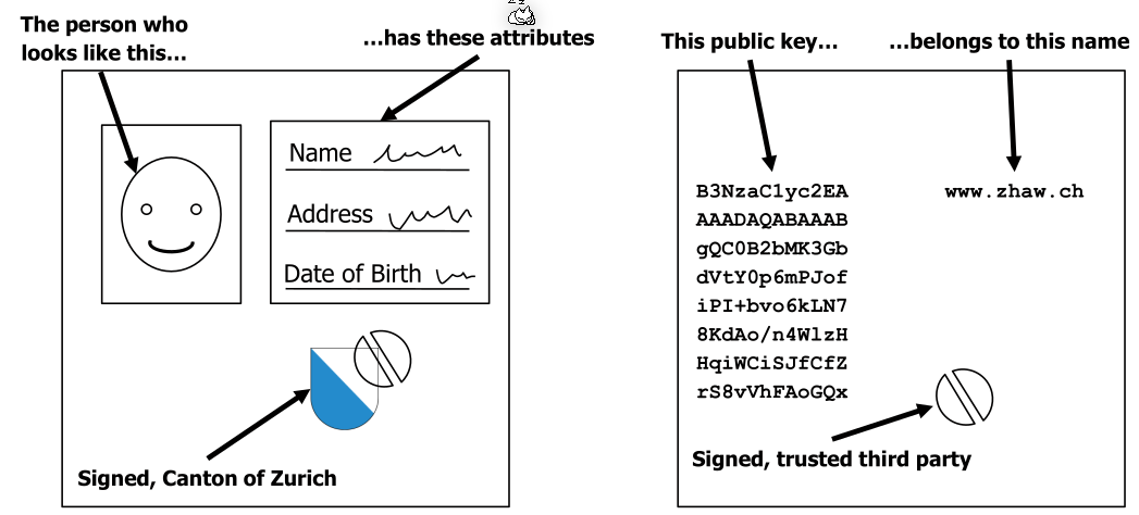 image-20230327101011281