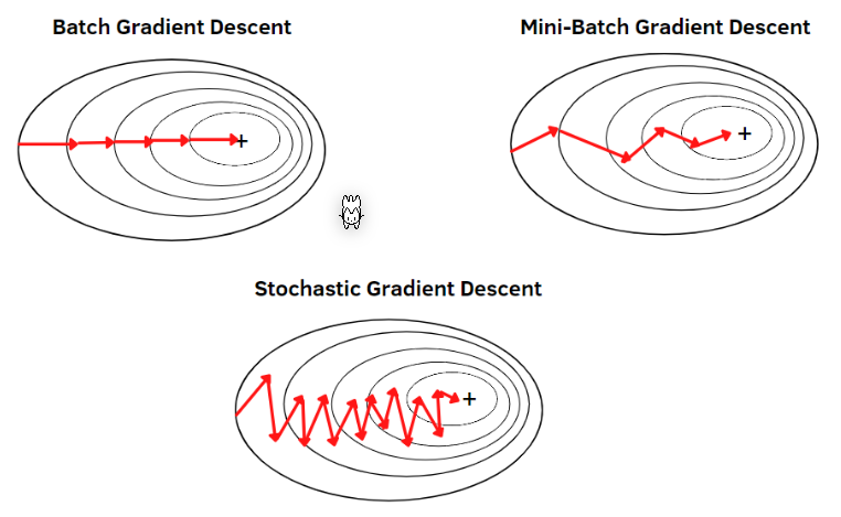 image-20230320120954284