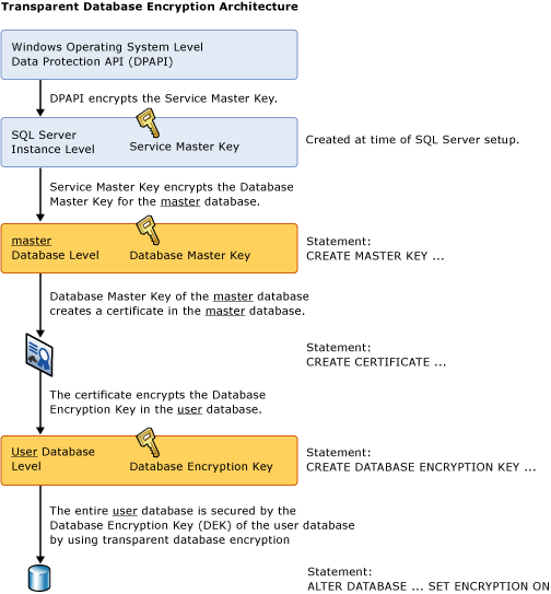 image-20240322152918376