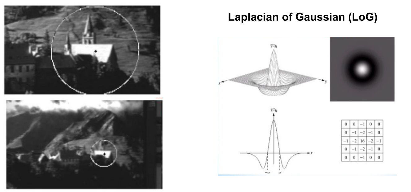 image-20240422142018903