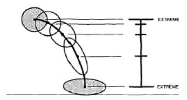 image-20240325142001682