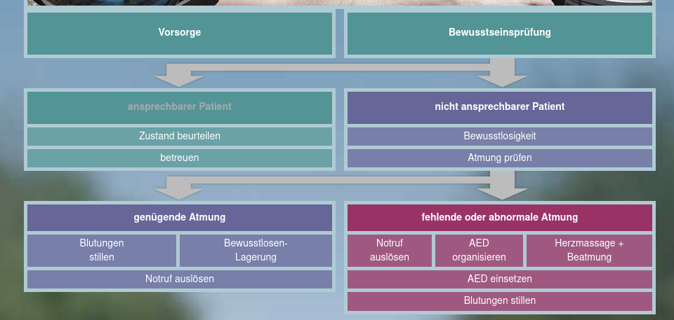 image-20220901172222303